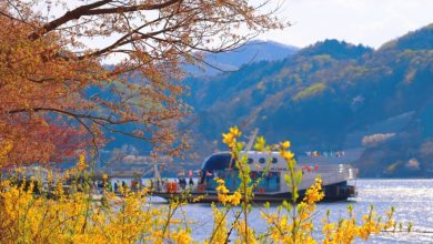 Nami-Island-Achieves-Outstanding-Recognition-at-the-2025-Skal-International-Sustainable-Tourism-Awards-TsLsyD.jpg